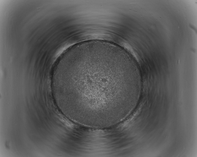 X0000096391019200801311316