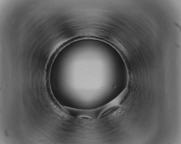 X0000096391020200801311316