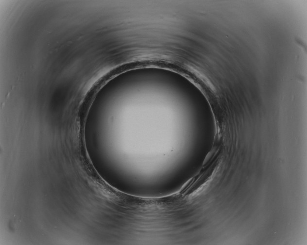 X0000096391021200801311316