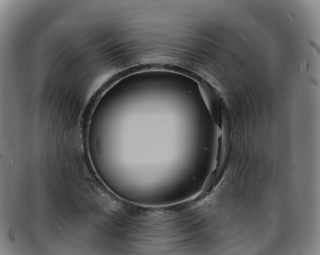 X0000096391022200801311316
