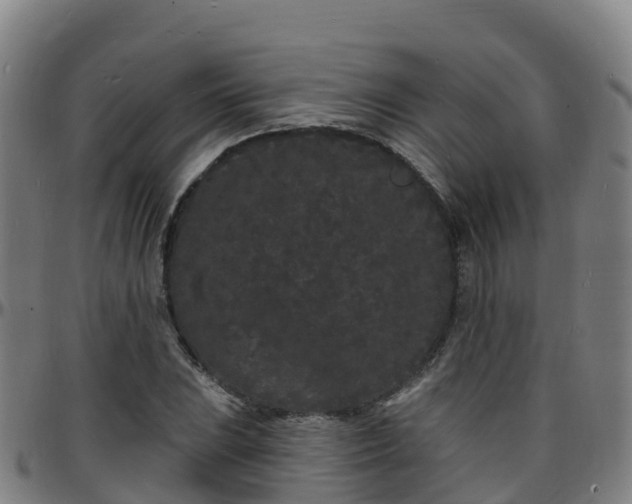 X0000096391023200801311316