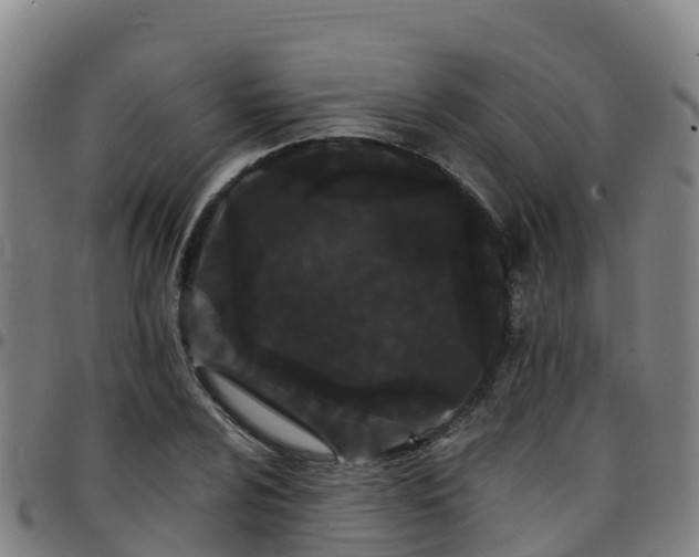 X0000096391024200801311316