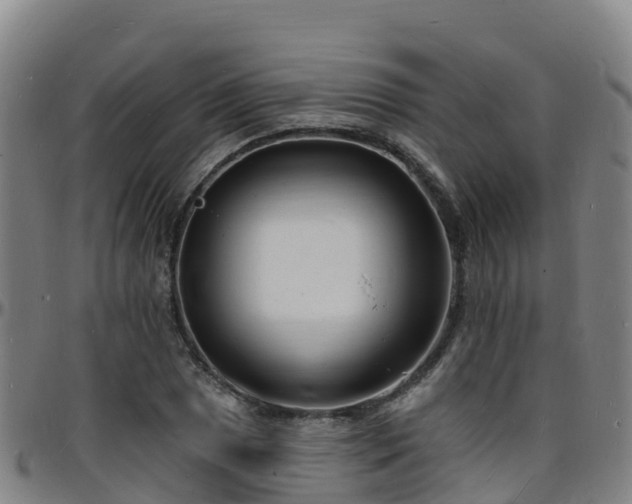 X0000096391025200801311316