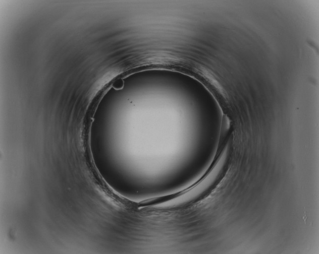X0000096391026200801311316