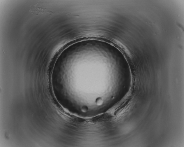 X0000096391027200801311316