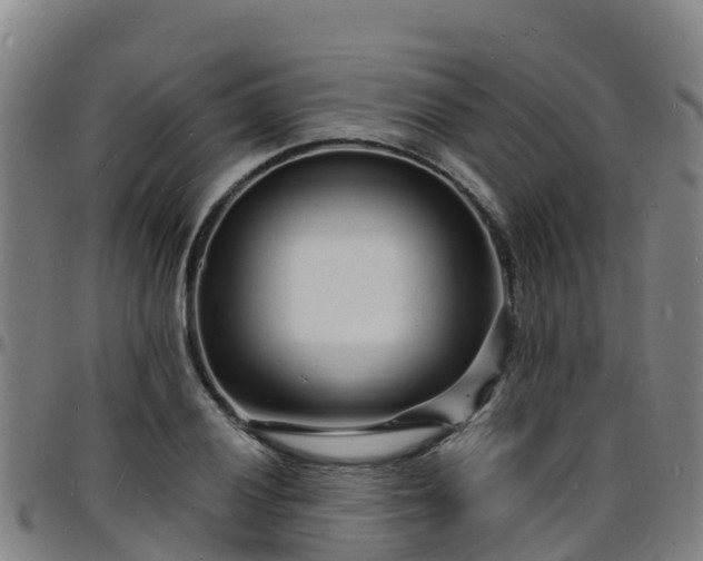 X0000096391028200801311316