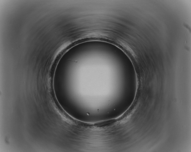 X0000096391029200801311316