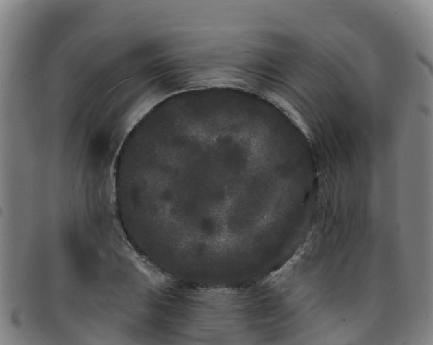 X0000096391031200801311317