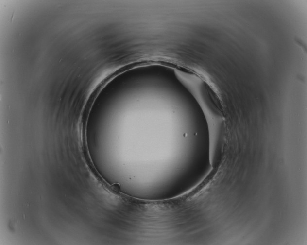 X0000096391032200801311317