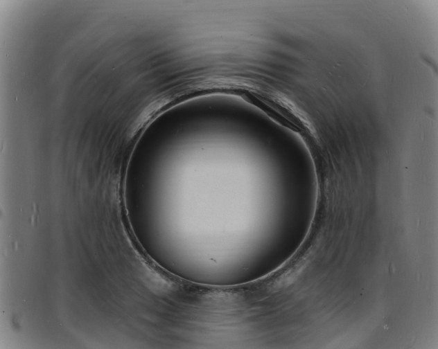 X0000096391033200801311317