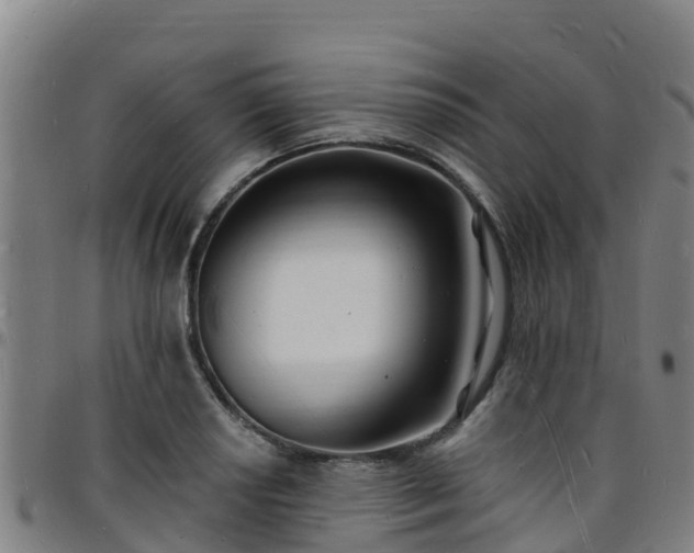 X0000096391034200801311317