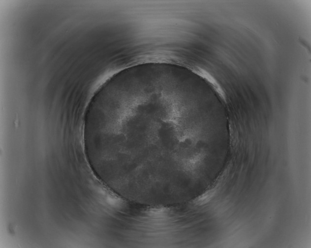 X0000096391035200801311317