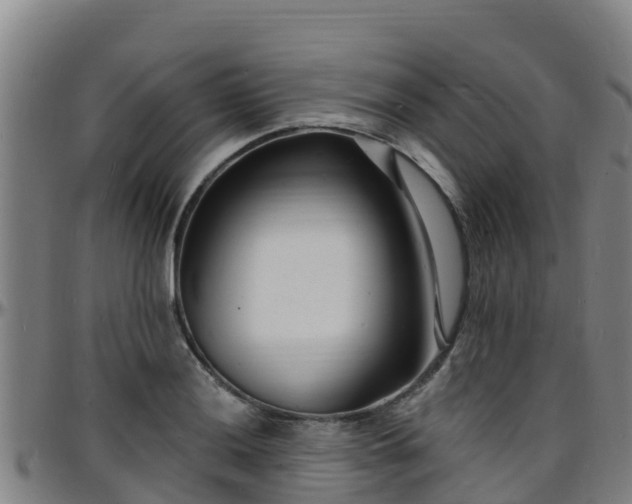 X0000096391036200801311317