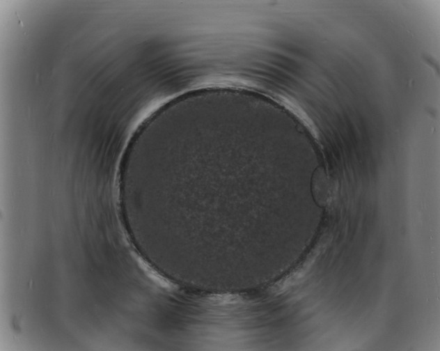X0000096391037200801311317