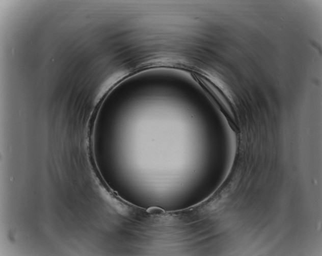 X0000096391042200801311317