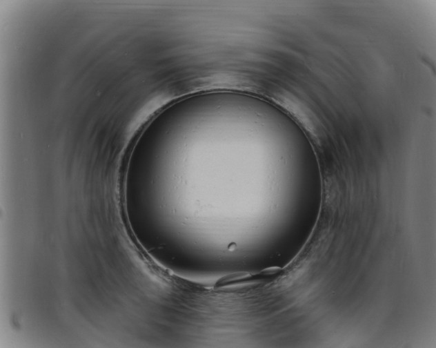 X0000096391043200801311317