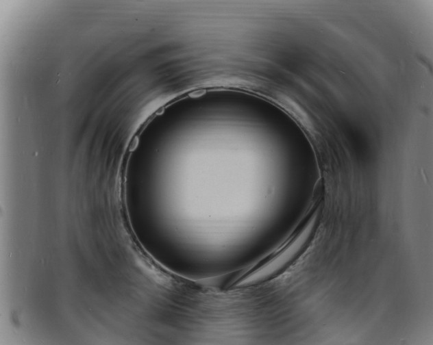 X0000096391044200801311317