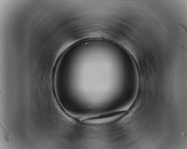 X0000096391045200801311317