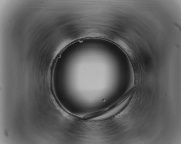 X0000096391046200801311317