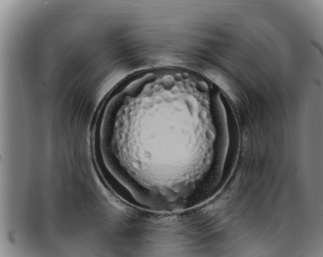 X0000096391047200801311317