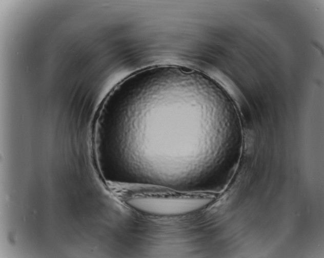 X0000096391048200801311317