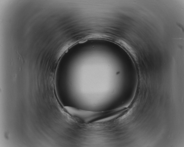 X0000096391049200801311317