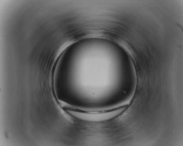 X0000096391050200801311317