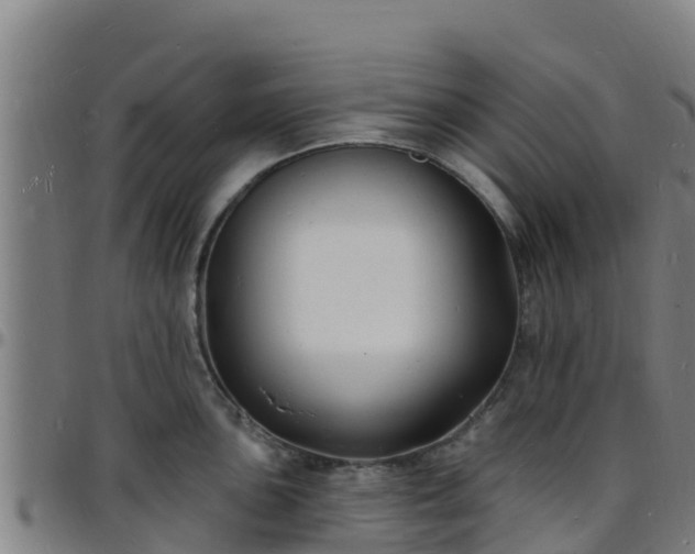 X0000096391051200801311317
