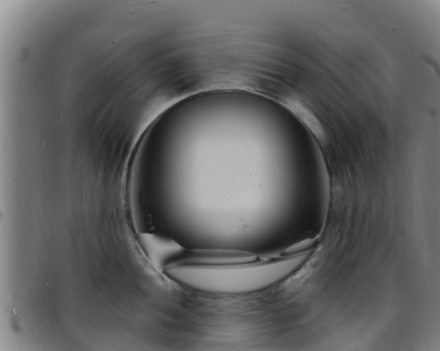 X0000096391052200801311317