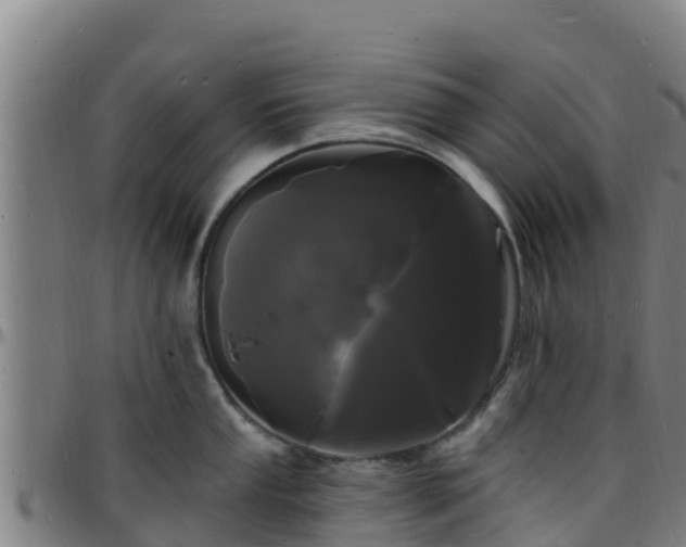 X0000096391053200801311317