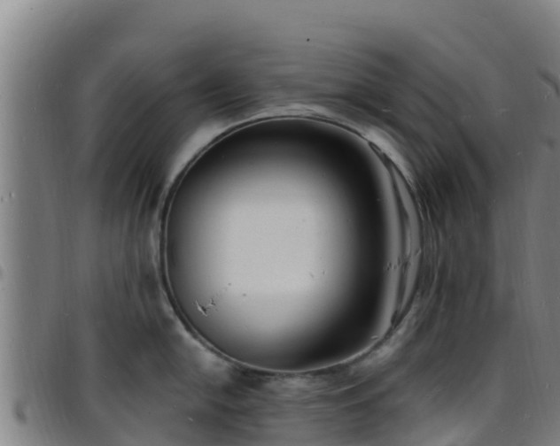 X0000096391054200801311317
