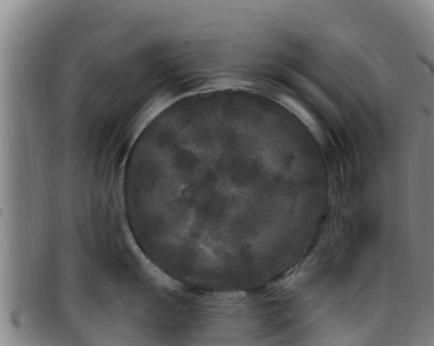 X0000096391055200801311317