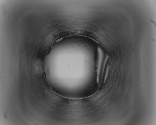 X0000096391058200801311316
