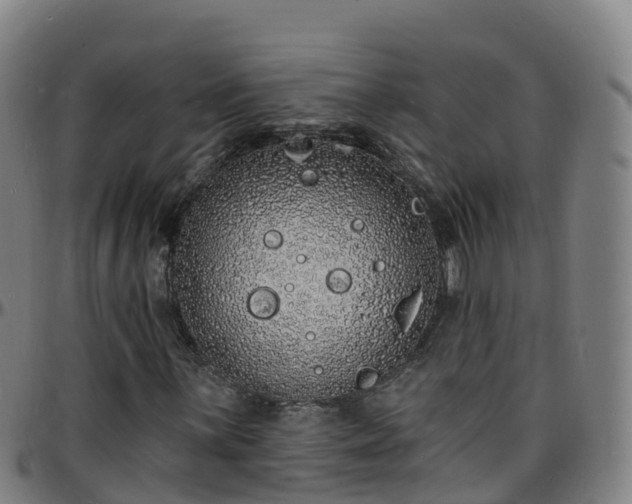 X0000096391059200801311316