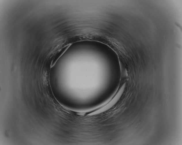 X0000096391060200801311316
