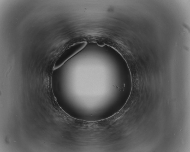 X0000096391061200801311316