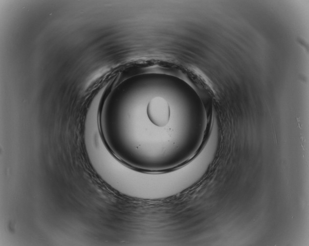 X0000096391064200801311316