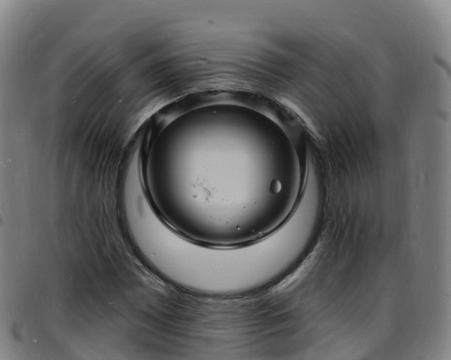X0000096391065200801311316