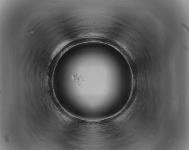 X0000096391066200801311316
