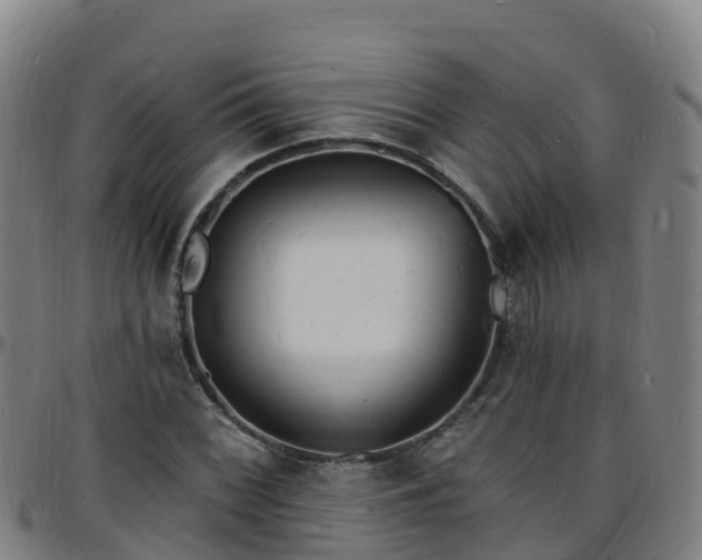 X0000096391068200801311316