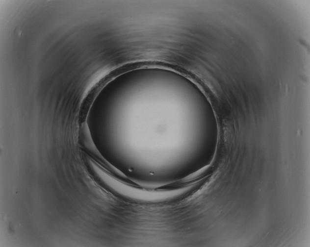 X0000096391069200801311316