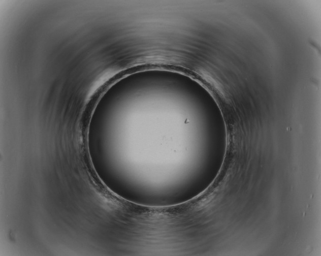 X0000096391070200801311316