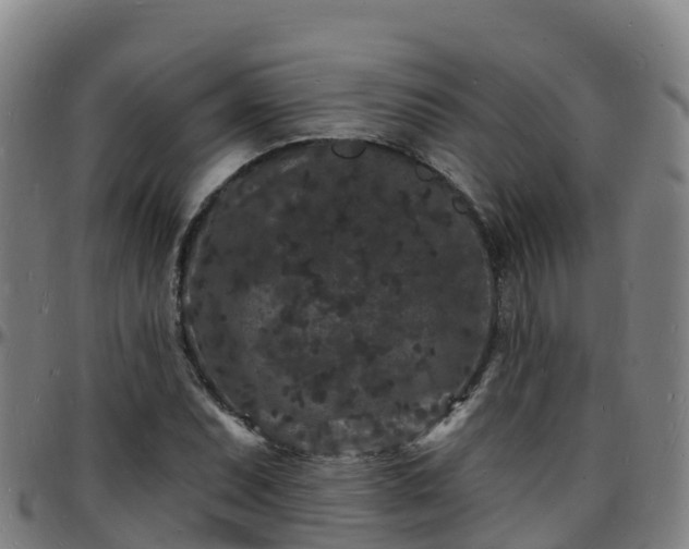 X0000096391071200801311316