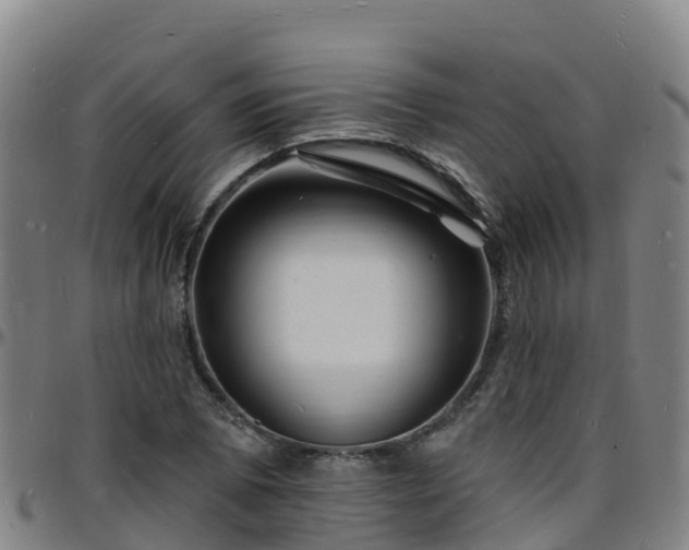 X0000096391073200801311316