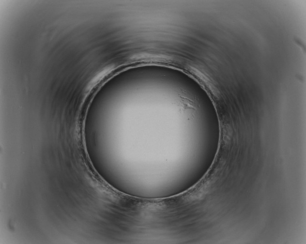 X0000096391074200801311316