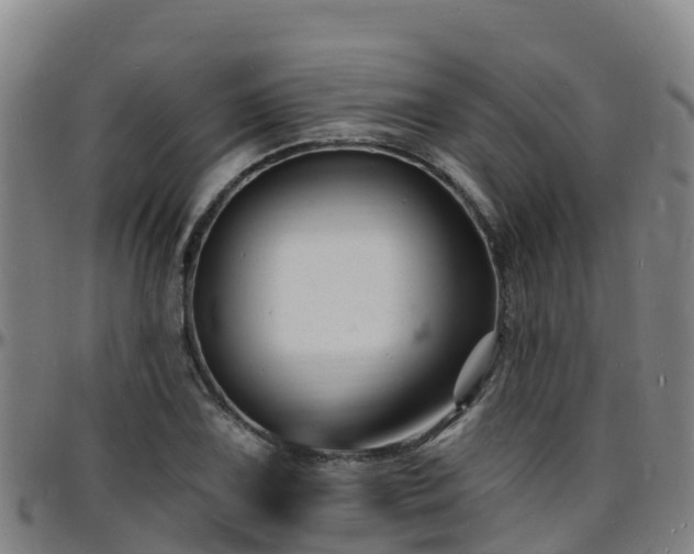 X0000096391075200801311316