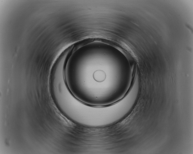 X0000096391076200801311316