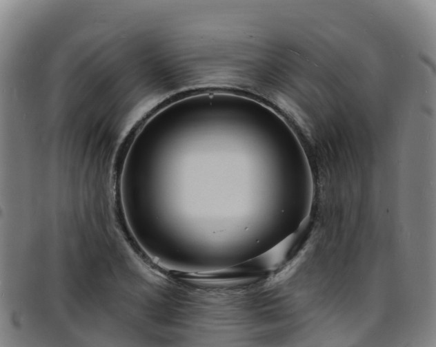 X0000096391077200801311316
