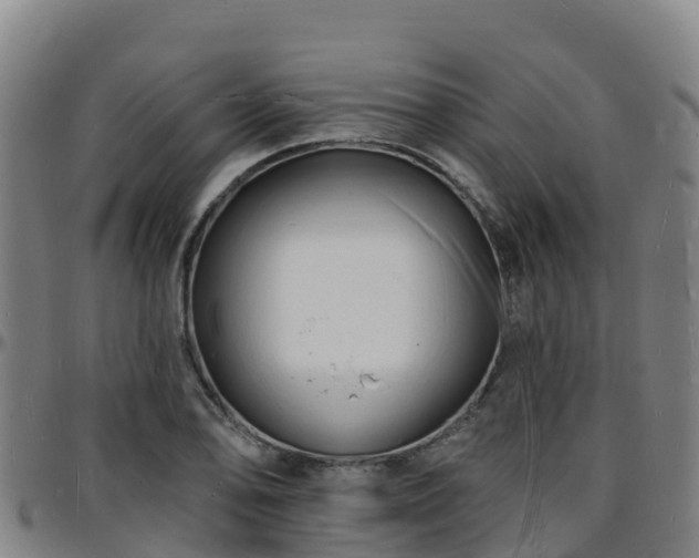 X0000096391078200801311316