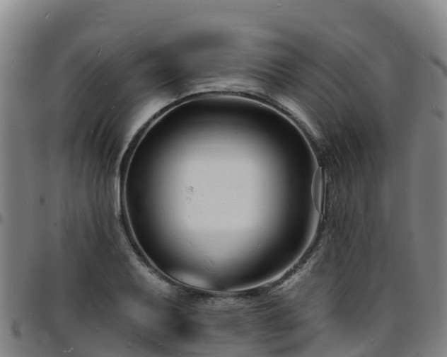 X0000096391079200801311316